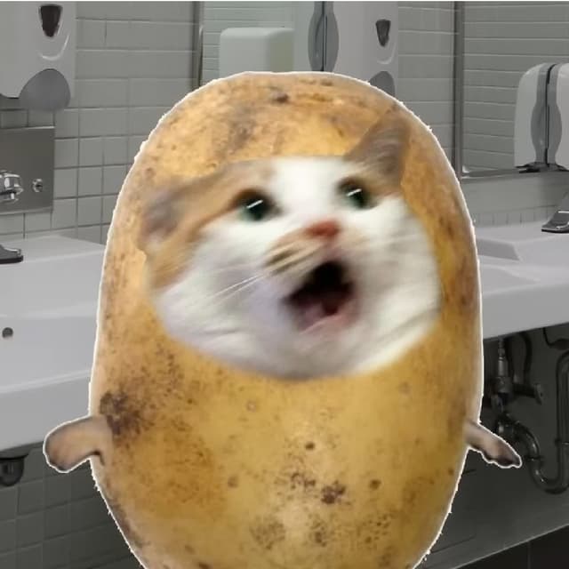 $POTATOCAT