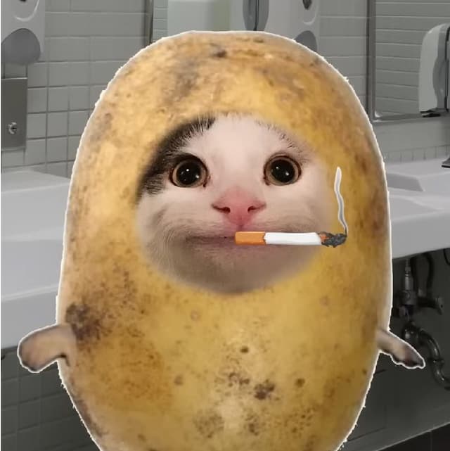 $POTATOCAT